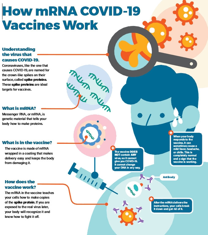Figure 2. How COVID-19 mRNA Vaccines Work