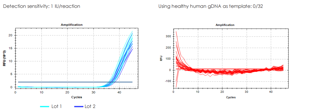 HBV detection