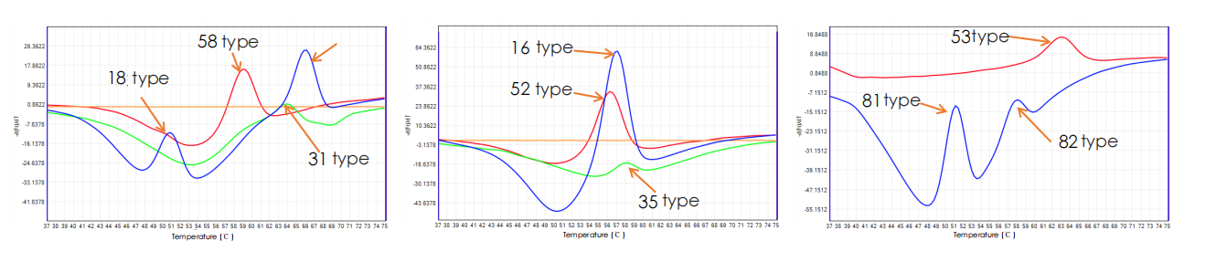 Ultra-multiplex HPV genotyping