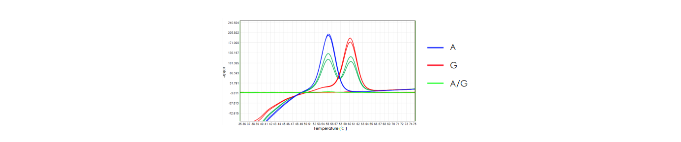 ALDH2 gene polymorphism detection