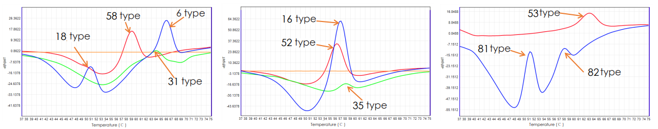 Ultra-multiplex HPV genotyping