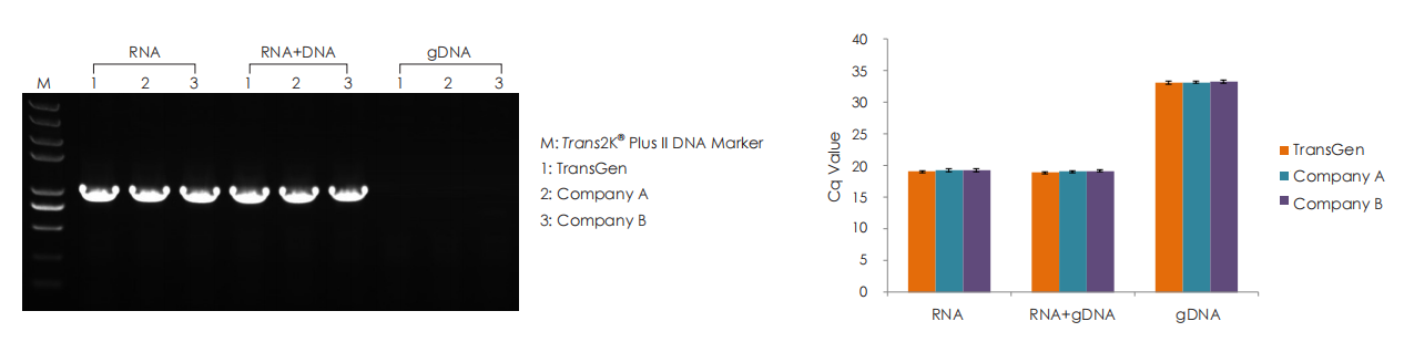 Comparsion with Competitive Products