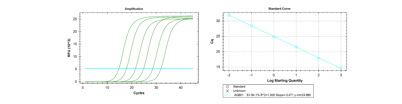 High amplification efficiency