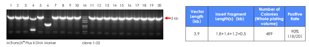 Successful Low-Concentration Multi-Fragment Assembly