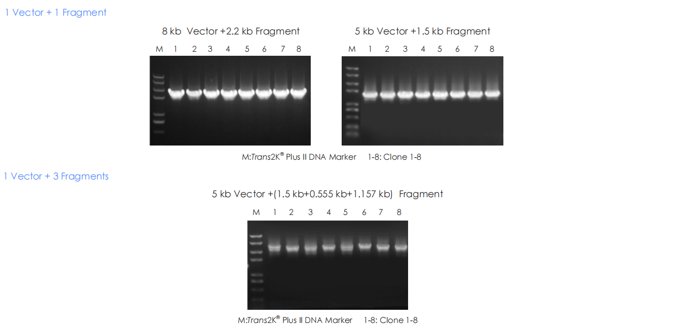 High Assembly Efficiency