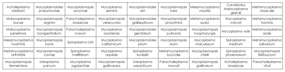 Detects 54 Mycoplasma Species Detects 54 Mycoplasma Species