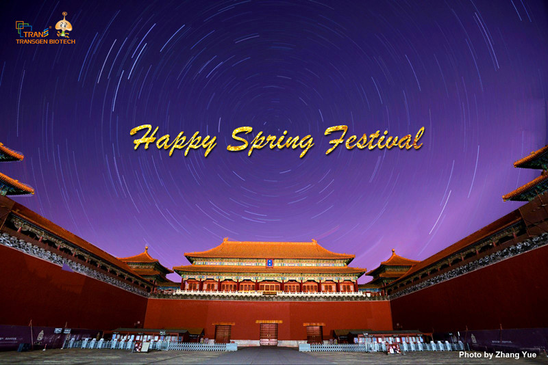 Spring Festival.jpg