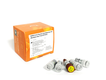 SARS-CoV-2 Nucleic Acid Detection Kit (Multiplex Real Time RT-PCR )