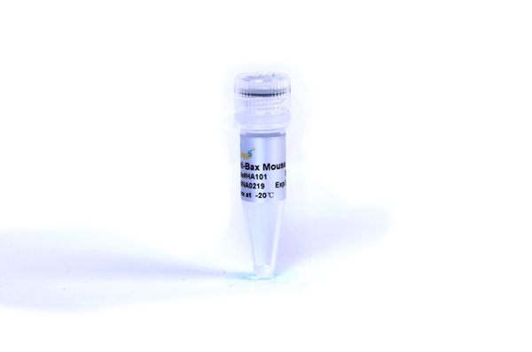 【New Product Launch】ProteinFind Anti-Bax Mouse Monoclonal Antibody